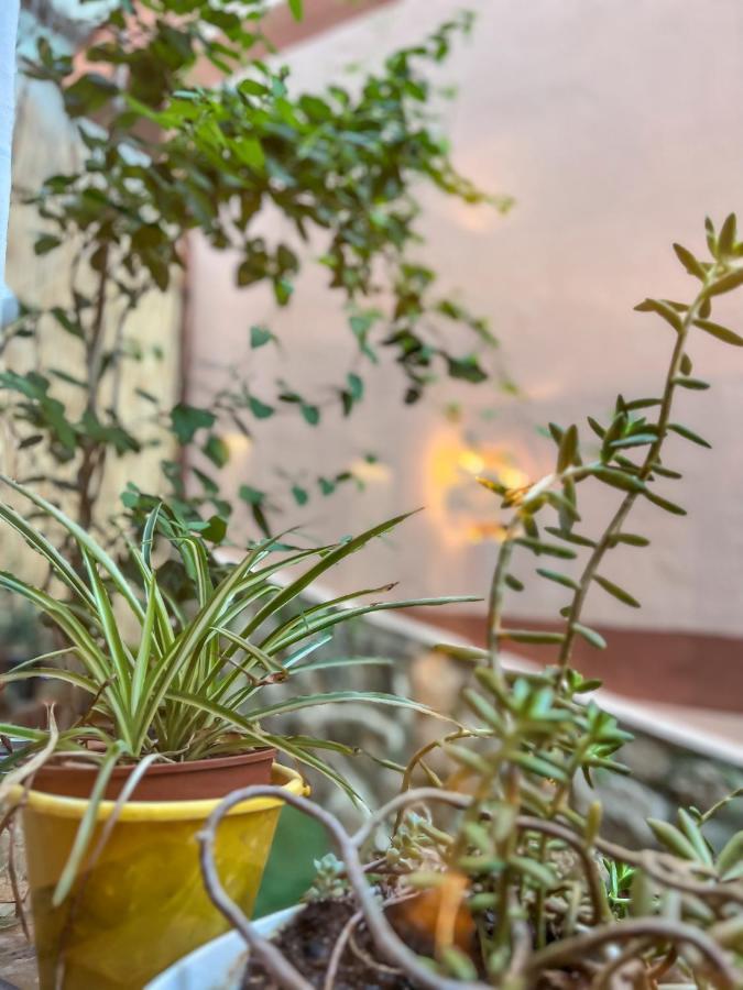 Apartament Atalantar *