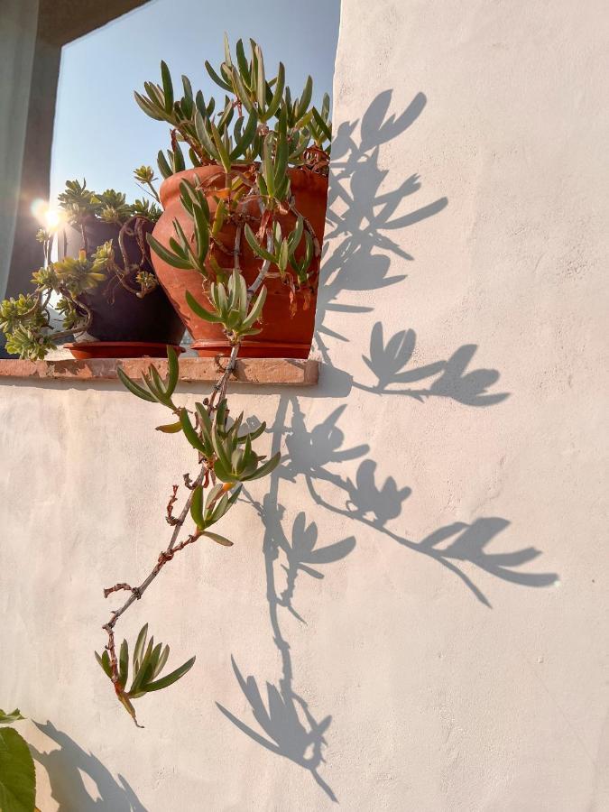 Apartment Atalantar *