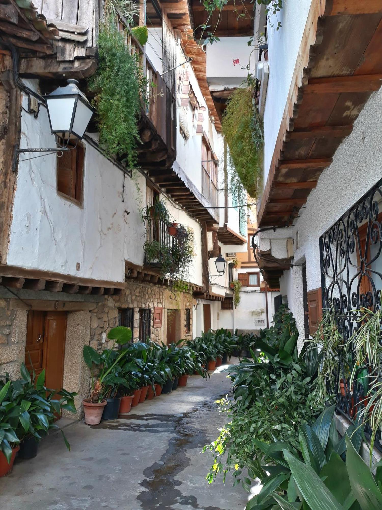 Atalantar Apartment Villanueva De La Vera